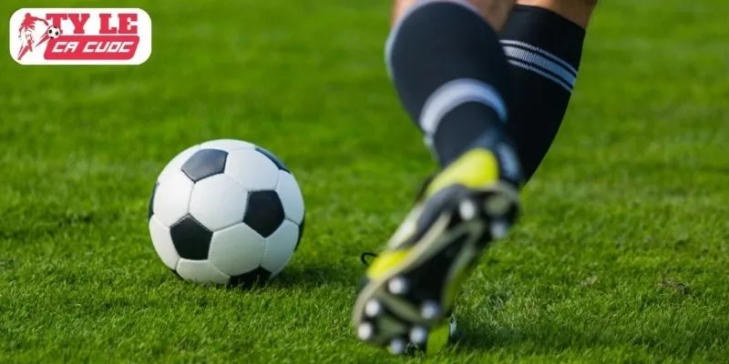 Cơ chế tính tỷ lệ kèo lội ngược dòng trong kèo live